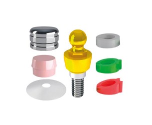 STRAUMANN BONE LEVEL